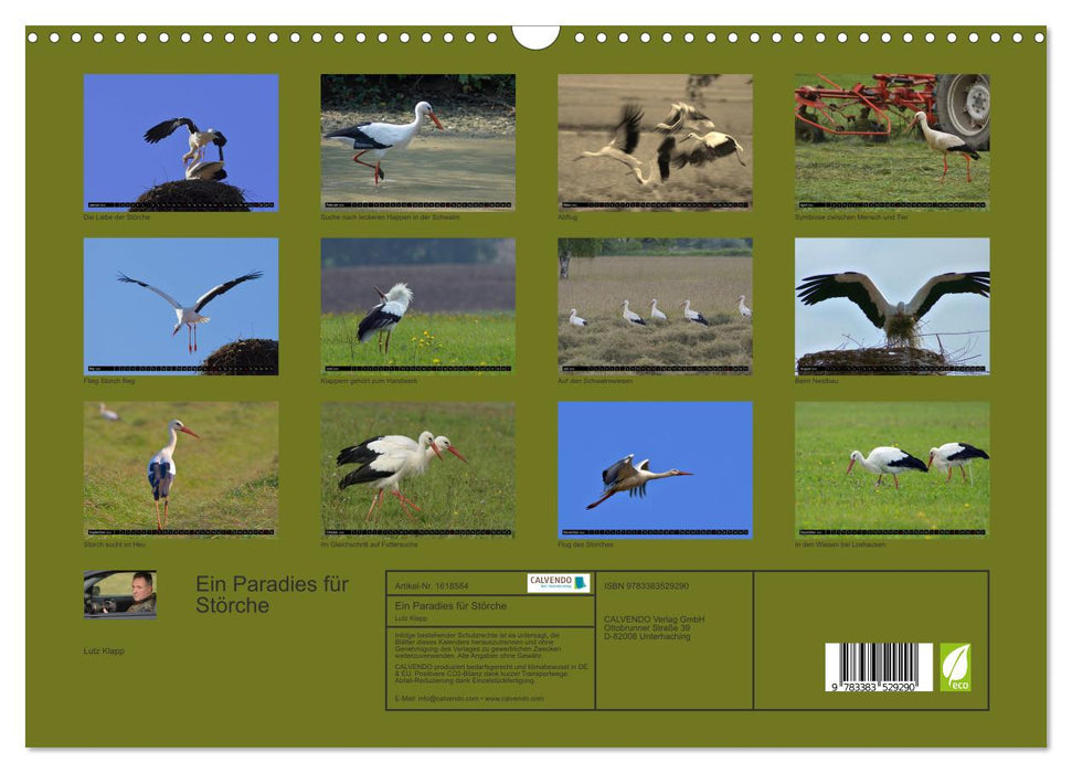 A paradise for storks (CALVENDO wall calendar 2024) 