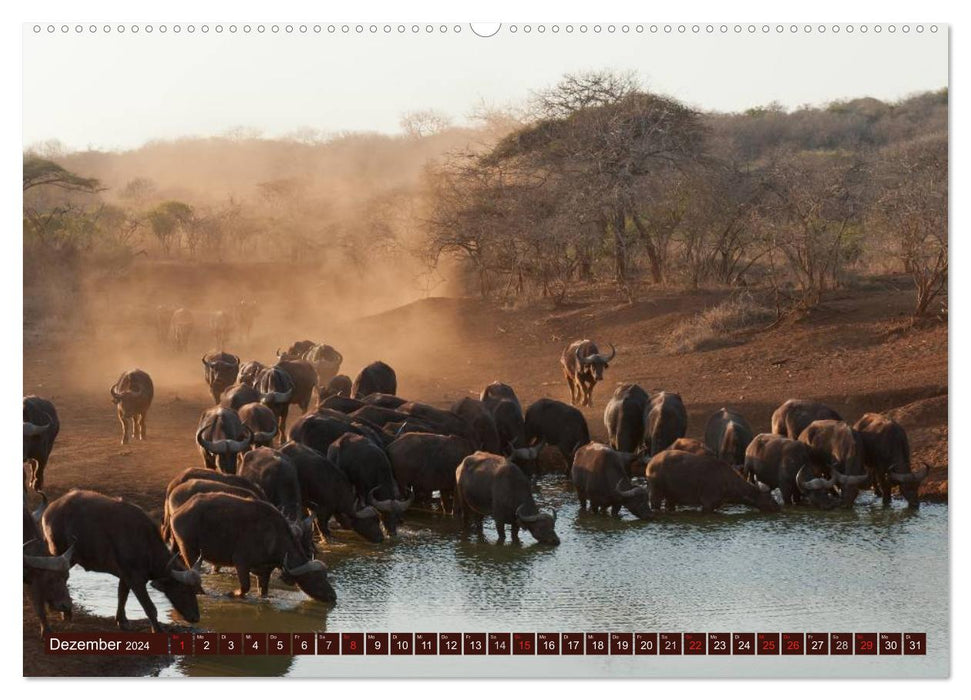 Africa. Magic of the Black Continent (CALVENDO Wall Calendar 2024) 