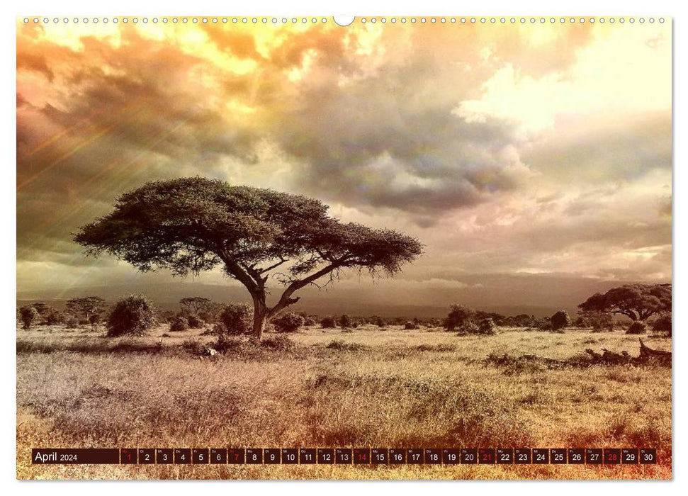 Africa. Magic of the Black Continent (CALVENDO Wall Calendar 2024) 