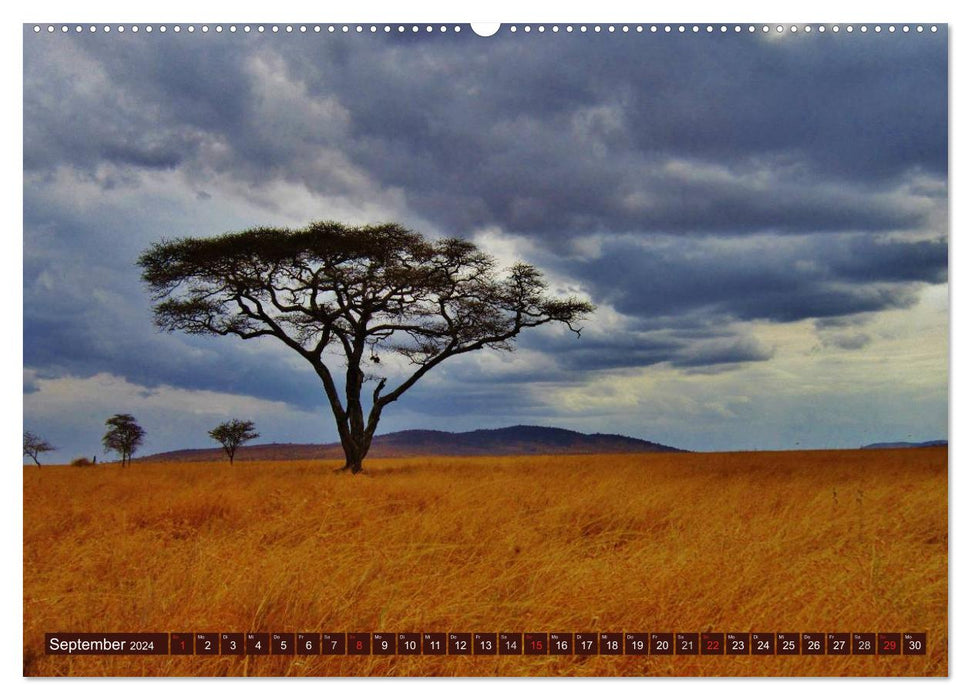 Africa. Magic of the Black Continent (CALVENDO Wall Calendar 2024) 