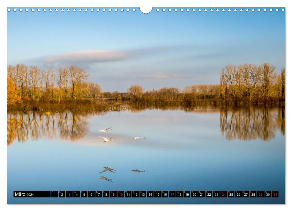 Paysages de rêve d'Allemagne - Partie I (calendrier mural CALVENDO 2024) 