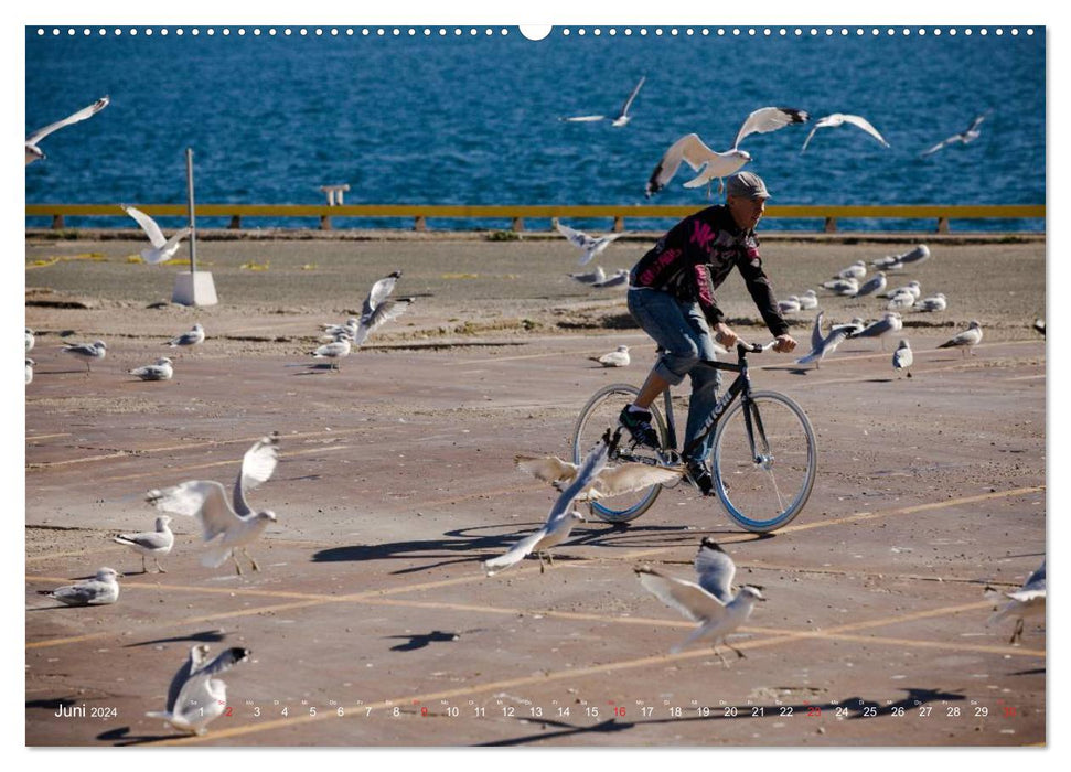 For the Love of It - Snowboarding and Bikes (CALVENDO Wall Calendar 2024) 