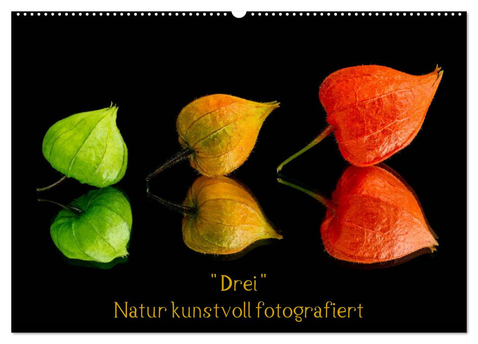 "Three" nature artfully photographed (CALVENDO wall calendar 2024) 
