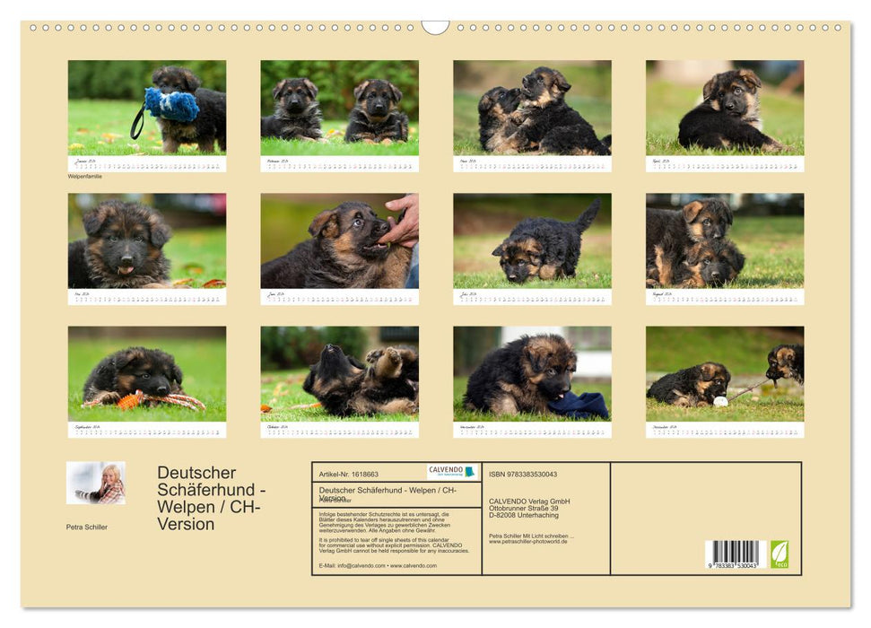 Berger Allemand - Chiots / Version CH (Calendrier mural CALVENDO 2024) 