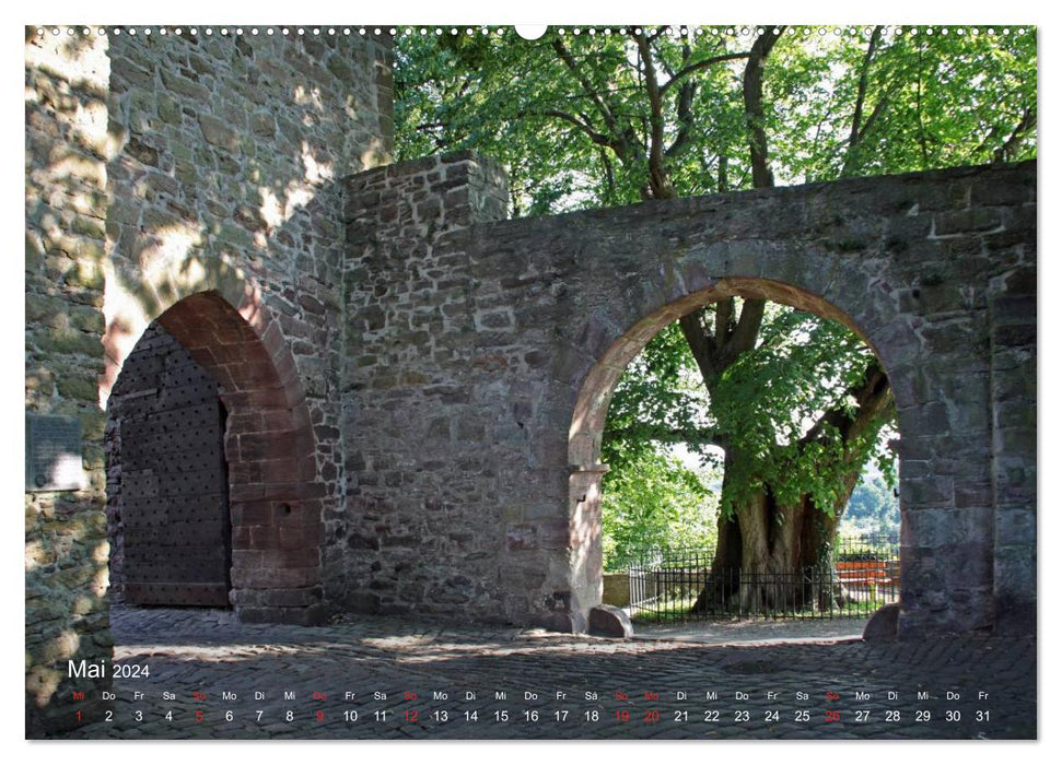 Blomberg in Lippe (CALVENDO Premium Wandkalender 2024)