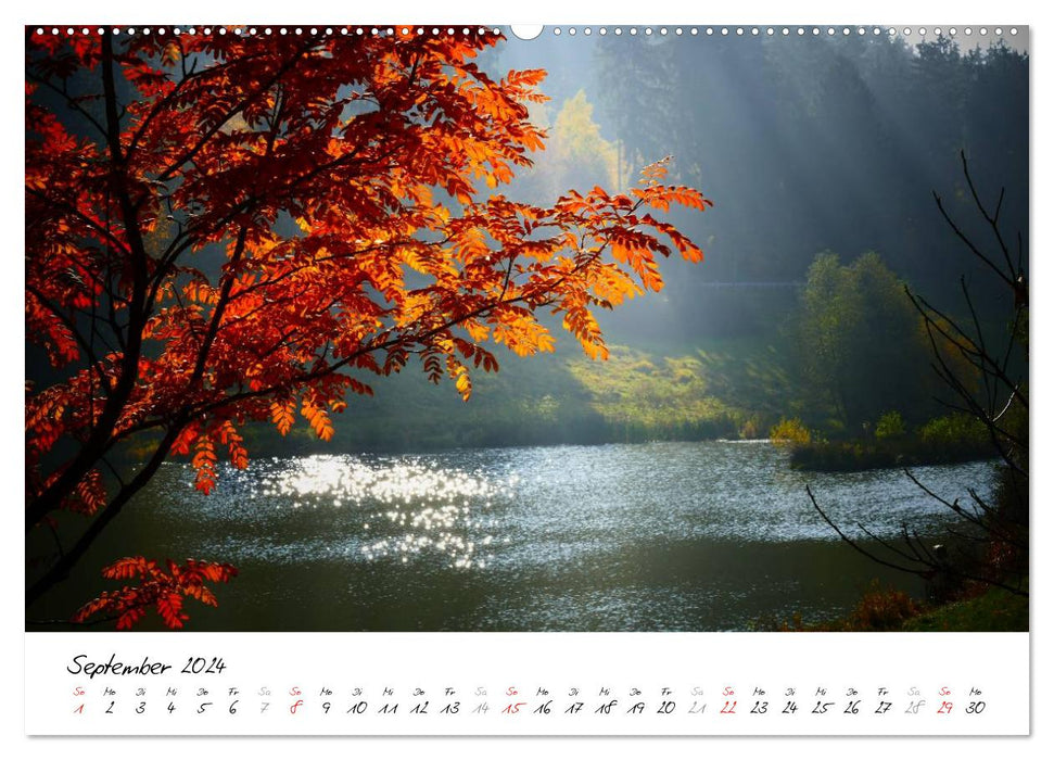 Taunus - Träume (CALVENDO Premium Wandkalender 2024)