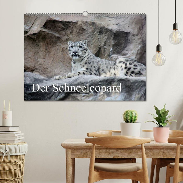 Le léopard des neiges (Calendrier mural CALVENDO 2024) 
