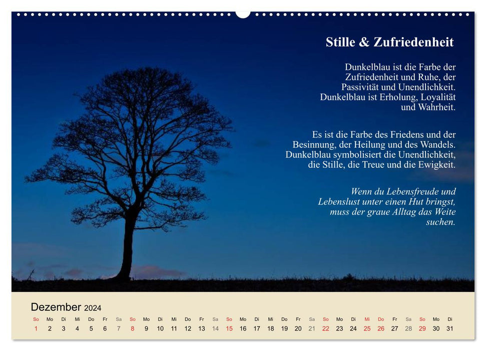 Die positive Kraft der Farben (CALVENDO Premium Wandkalender 2024)