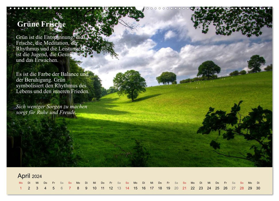 Le pouvoir positif des couleurs (Calendrier mural CALVENDO Premium 2024) 