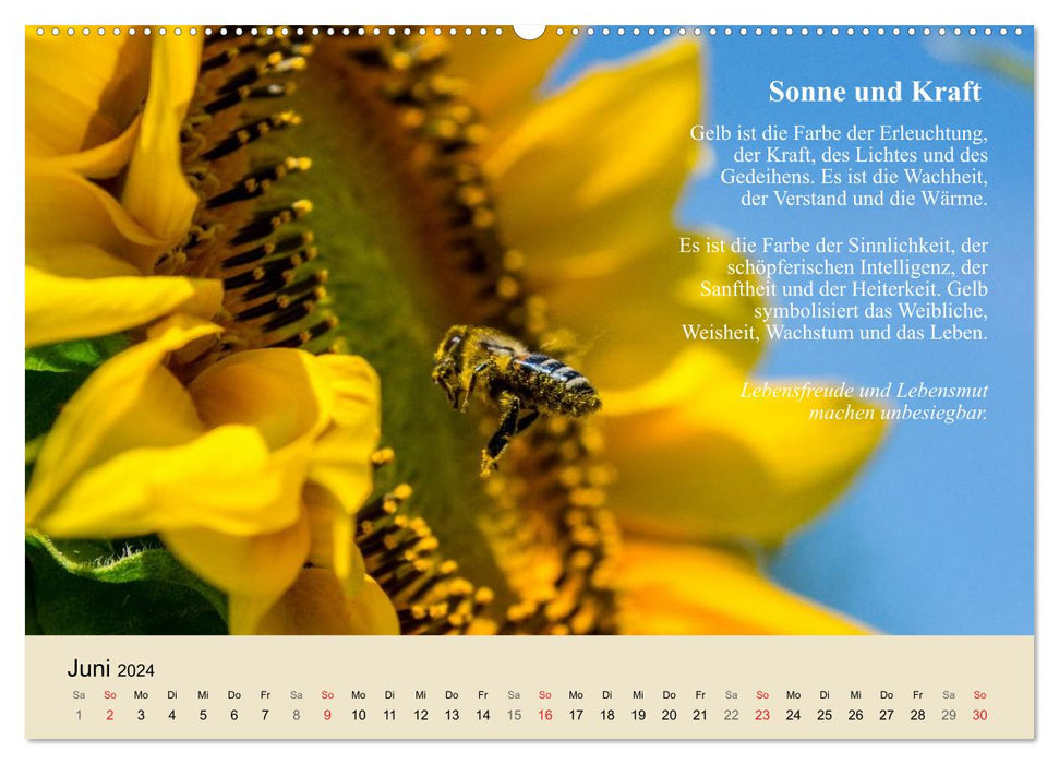 Le pouvoir positif des couleurs (Calendrier mural CALVENDO Premium 2024) 