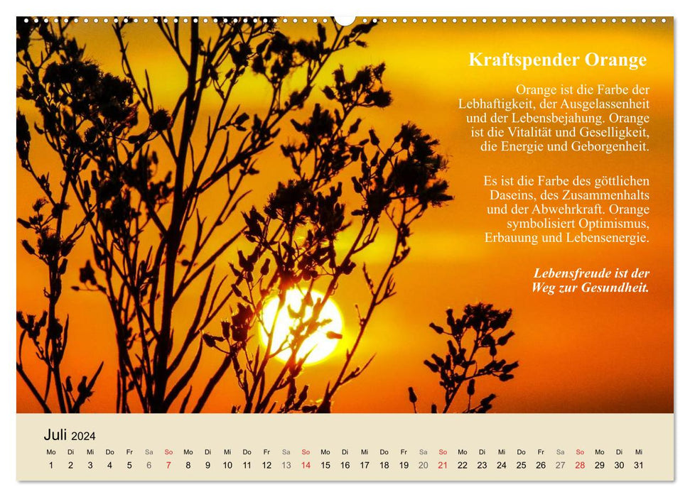 Die positive Kraft der Farben (CALVENDO Premium Wandkalender 2024)