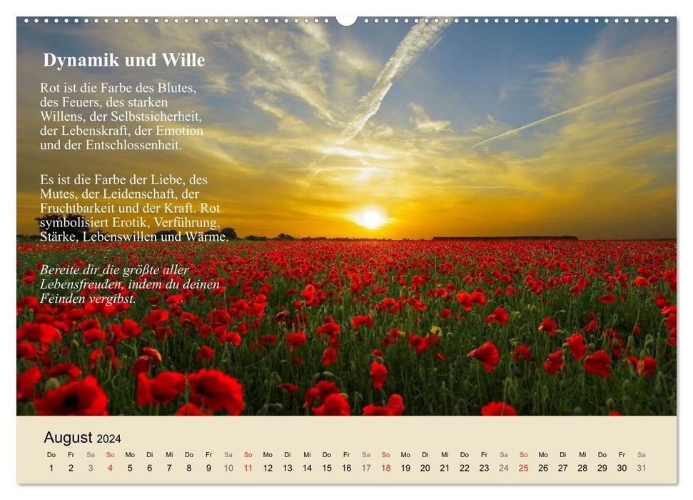 Le pouvoir positif des couleurs (Calendrier mural CALVENDO Premium 2024) 