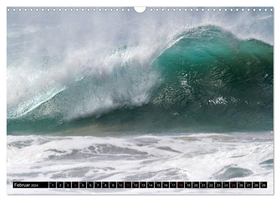 Hawai'i waves (CALVENDO wall calendar 2024) 