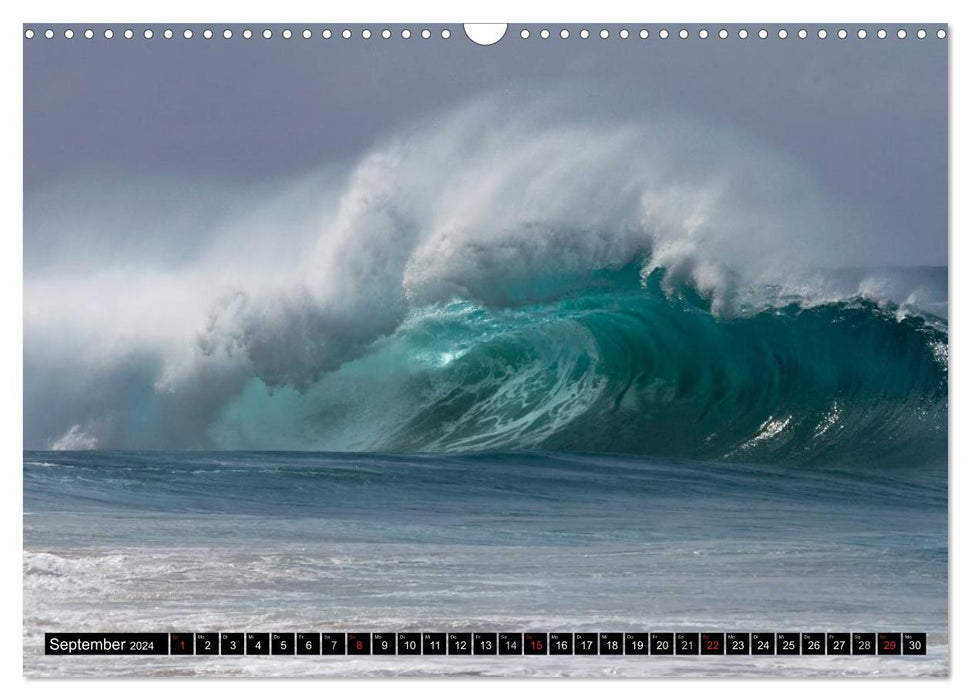 Hawai'i waves (CALVENDO wall calendar 2024) 