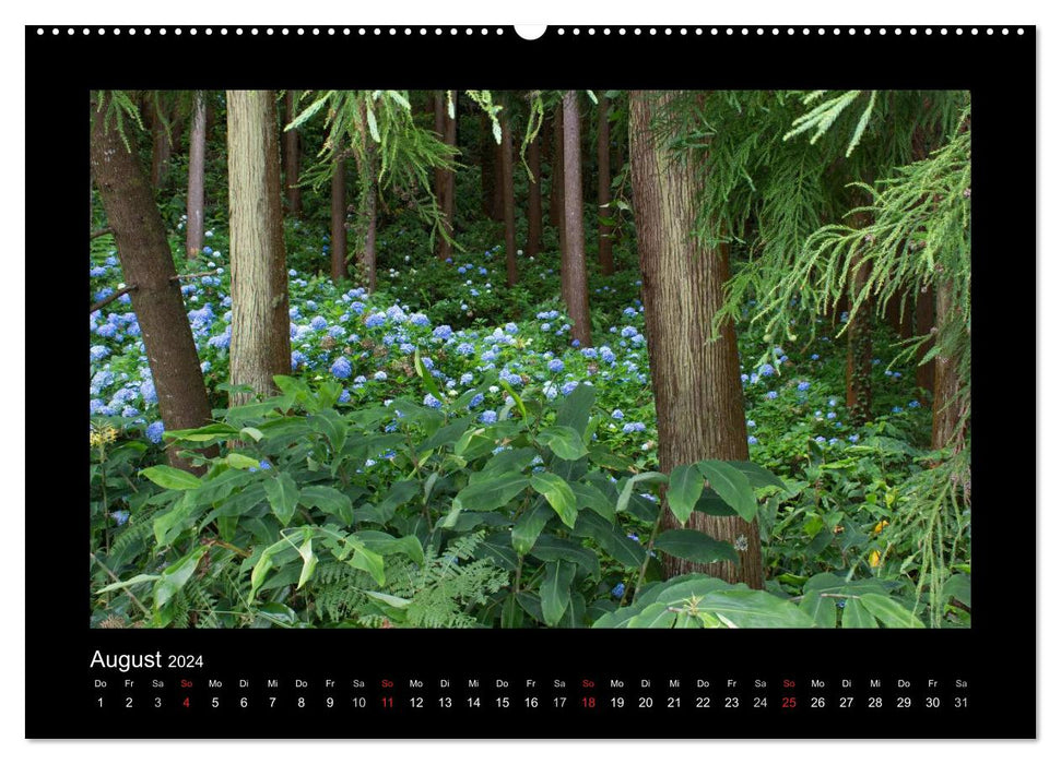 Azores - São Miguel (CALVENDO wall calendar 2024) 