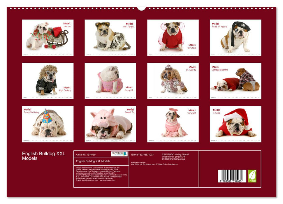 English Bulldog XXL Models (CALVENDO Premium Wandkalender 2024)