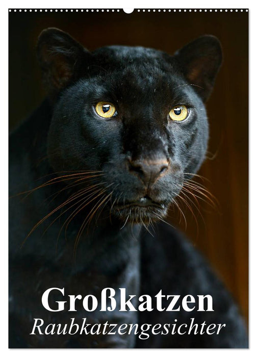 Großkatzen. Raubkatzengesichter (CALVENDO Wandkalender 2024)