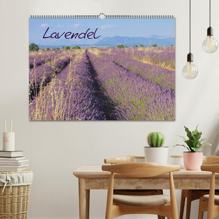Lavendel (CALVENDO Wandkalender 2024)