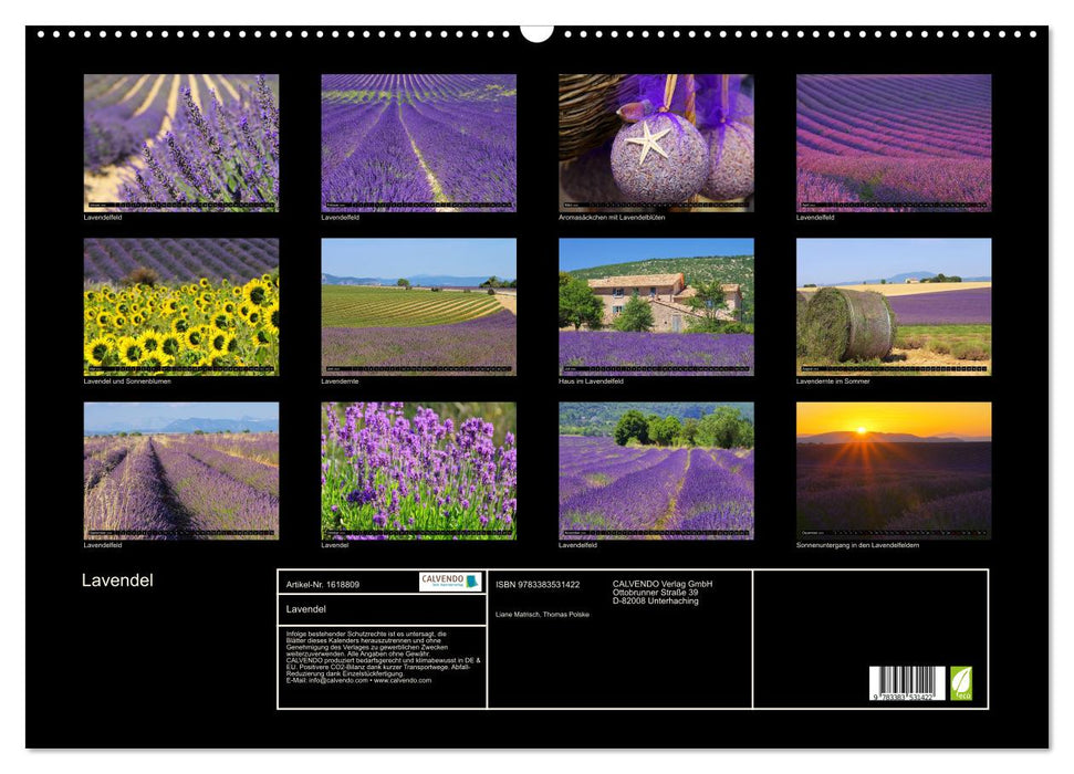 Lavender (CALVENDO wall calendar 2024) 