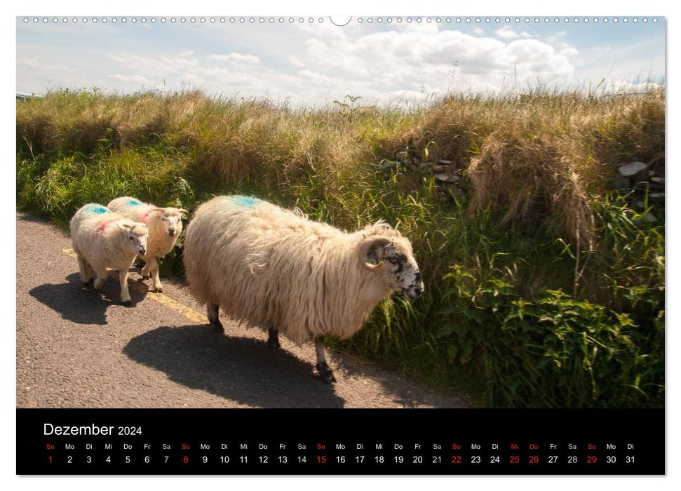 Sur la route en Irlande (Calendrier mural CALVENDO 2024) 