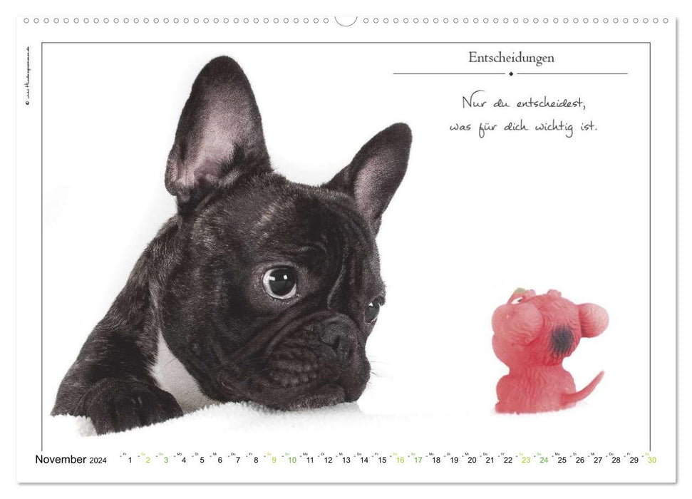 Bague avec inscription en forme de chien (calendrier mural CALVENDO 2024) 