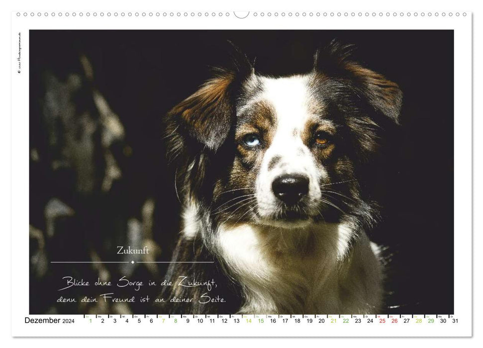 Bague avec inscription en forme de chien (calendrier mural CALVENDO 2024) 