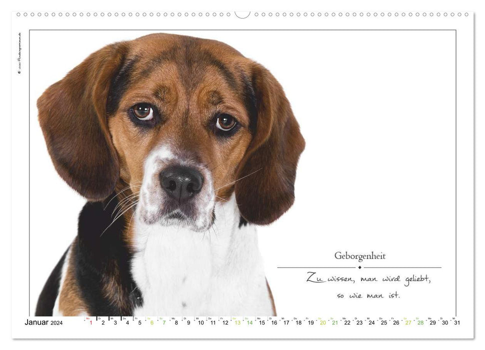 Bague avec inscription en forme de chien (calendrier mural CALVENDO 2024) 