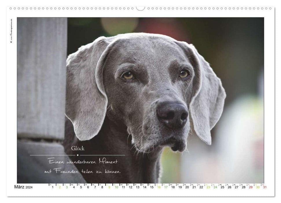 Bague avec inscription en forme de chien (calendrier mural CALVENDO 2024) 