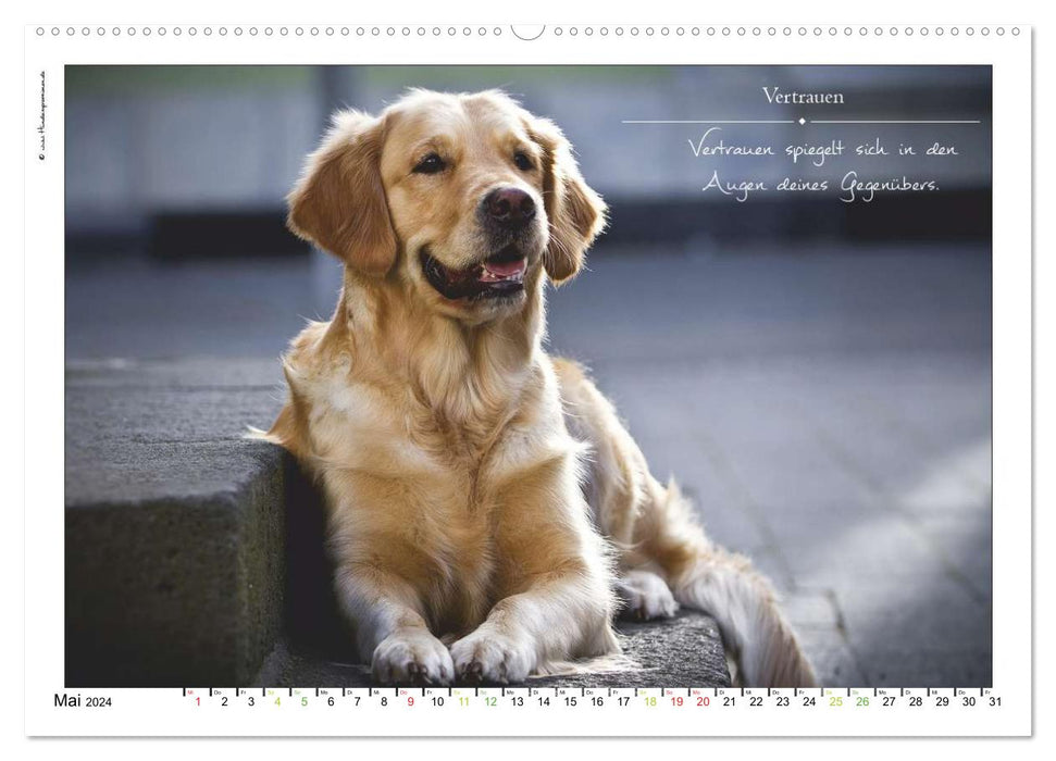 Bague avec inscription en forme de chien (calendrier mural CALVENDO 2024) 