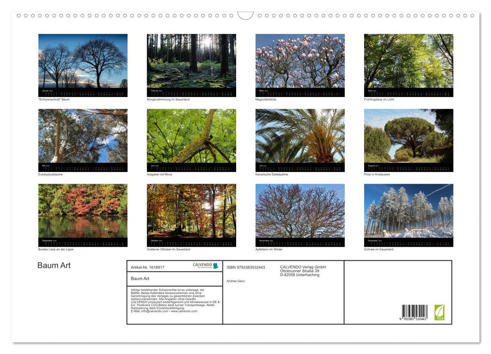 Tree Art (CALVENDO Wall Calendar 2024) 