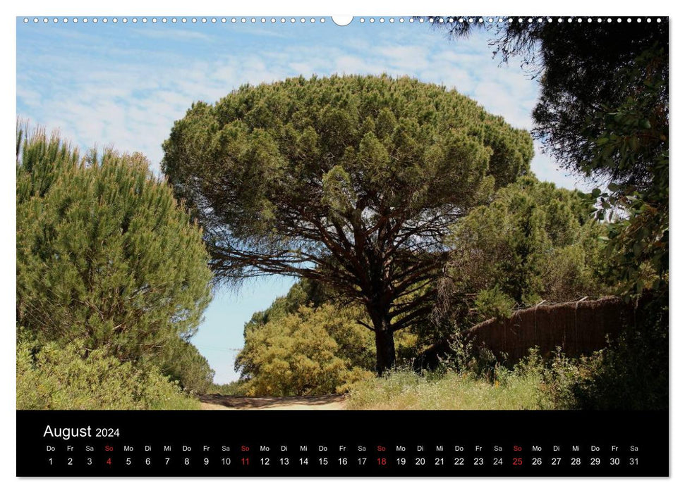 Baum Art (CALVENDO Wandkalender 2024)