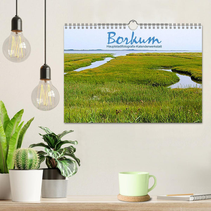 Borkum (CALVENDO wall calendar 2024) 