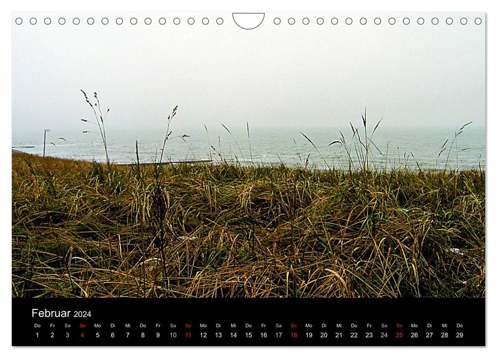 Borkum (CALVENDO wall calendar 2024) 