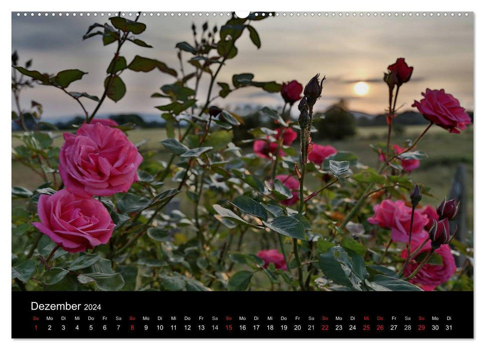 Schottische Impressionen (CALVENDO Wandkalender 2024)