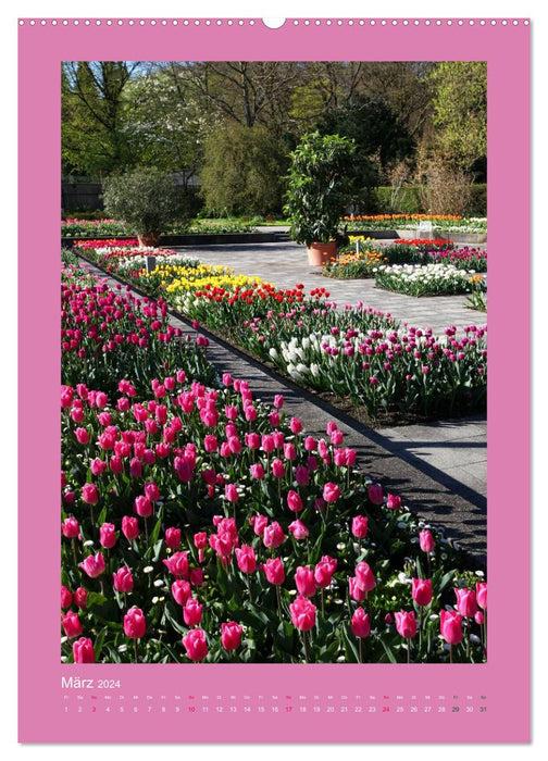 Touche de couleur - Jardin botanique d'Augsbourg (Calendrier mural CALVENDO 2024) 