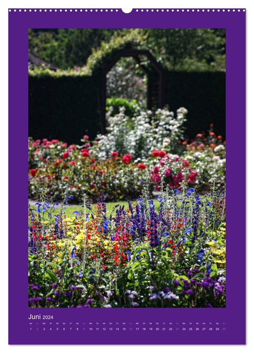 Splash of color - Augsburg Botanical Garden (CALVENDO wall calendar 2024) 