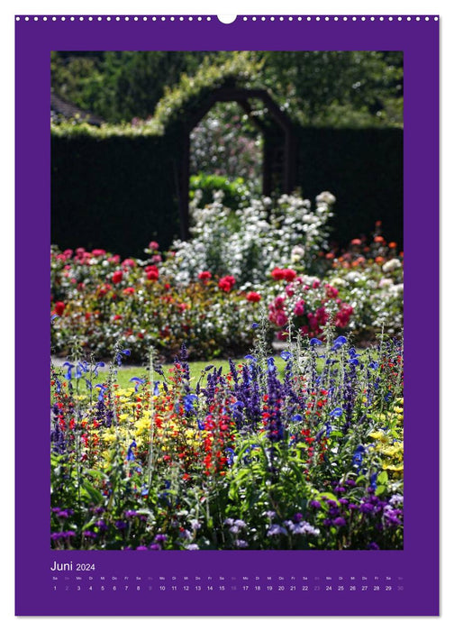 Touche de couleur - Jardin botanique d'Augsbourg (Calendrier mural CALVENDO 2024) 