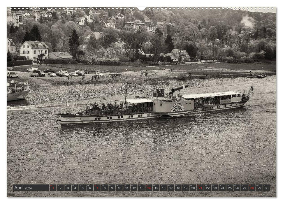 Paddle steamer of the Saxon steamship (CALVENDO wall calendar 2024) 