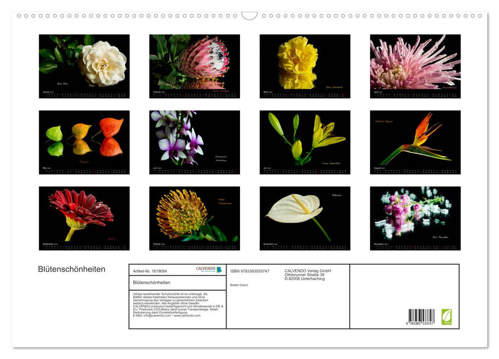 Blütenschönheiten (CALVENDO Wandkalender 2024)
