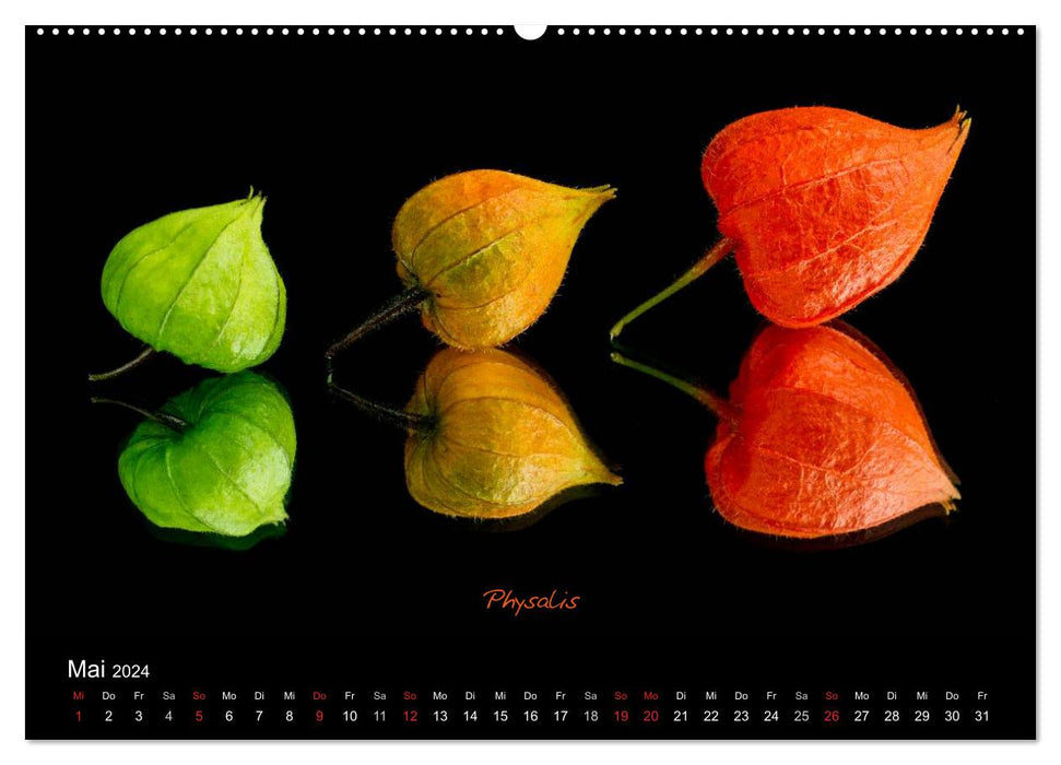 Flower beauties (CALVENDO wall calendar 2024) 
