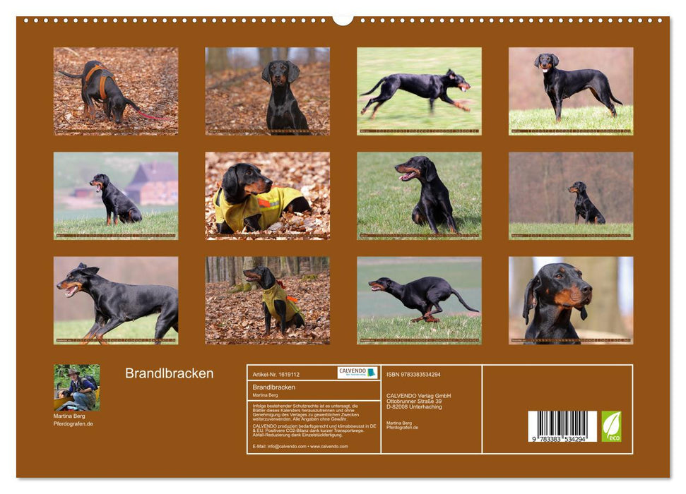 Brandlbracken (CALVENDO Premium Wall Calendar 2024) 
