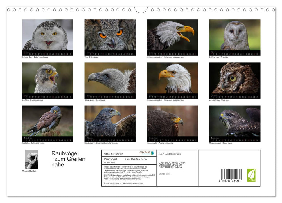 Birds of prey within reach (CALVENDO wall calendar 2024) 