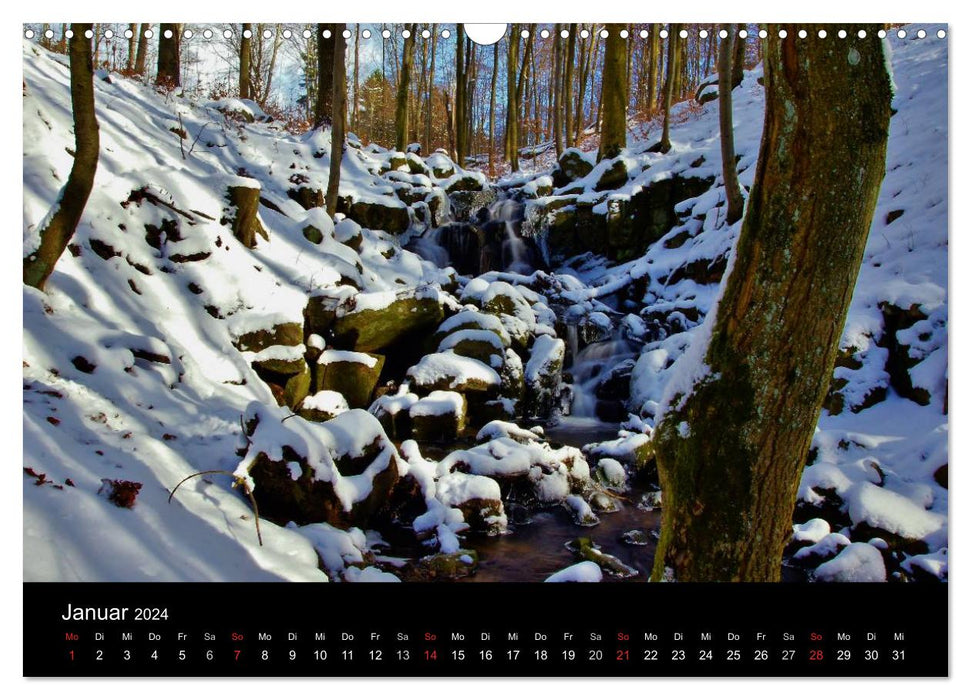 Fascination forest. Forest impressions from North Hesse by Lutz Klapp (CALVENDO wall calendar 2024) 