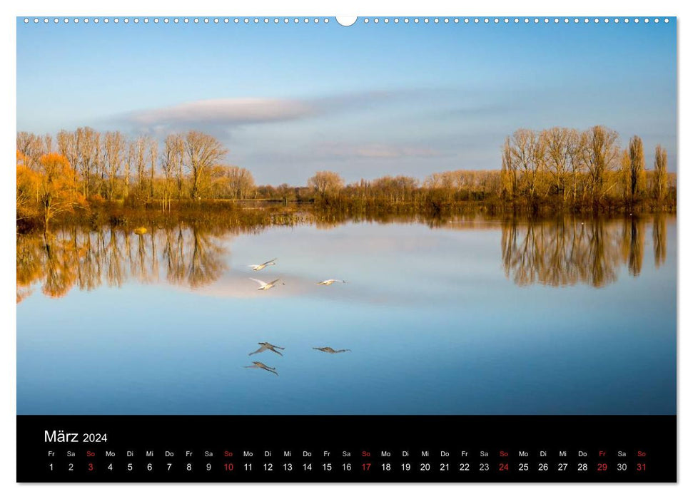 Ingelheim et ses environs (Calendrier mural CALVENDO Premium 2024) 