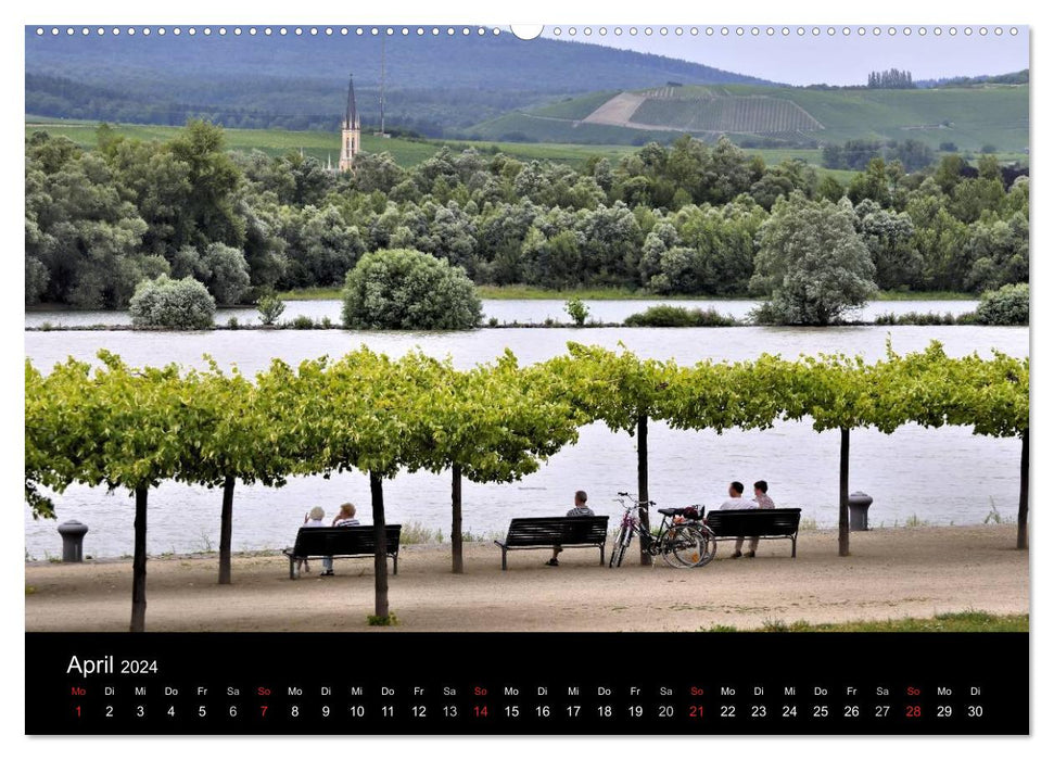 Ingelheim und Umgebung (CALVENDO Premium Wandkalender 2024)