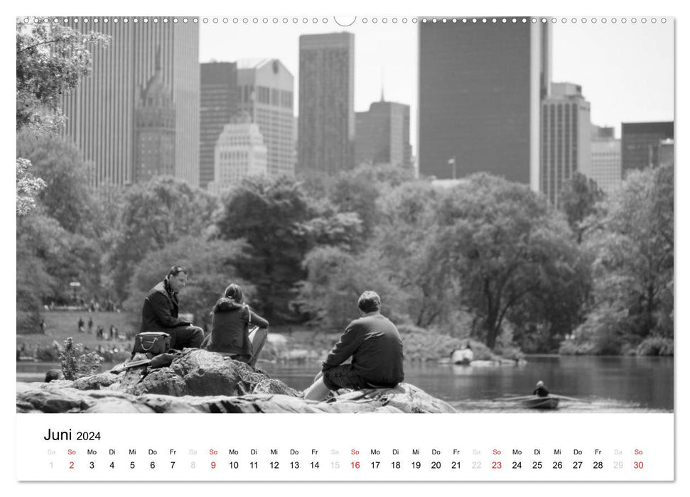 New York (Calvendo Premium Calendrier mural 2024) 