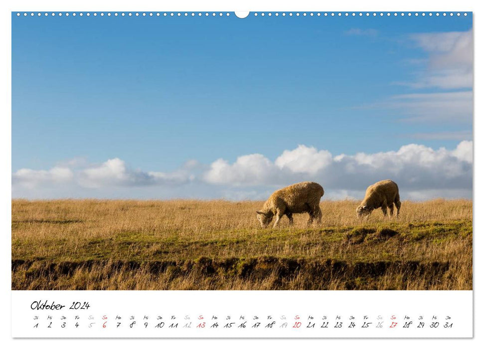 New Zealand - Foray across the North Island / CH version (CALVENDO wall calendar 2024) 