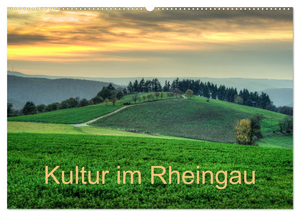 Culture in the Rheingau (CALVENDO wall calendar 2024) 