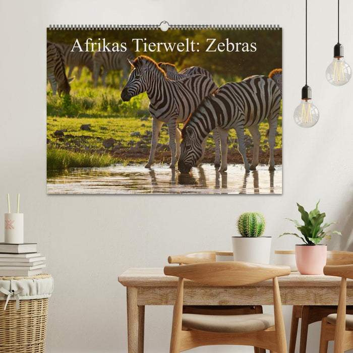 Afrikas Tierwelt: Zebras (CALVENDO Wandkalender 2024)
