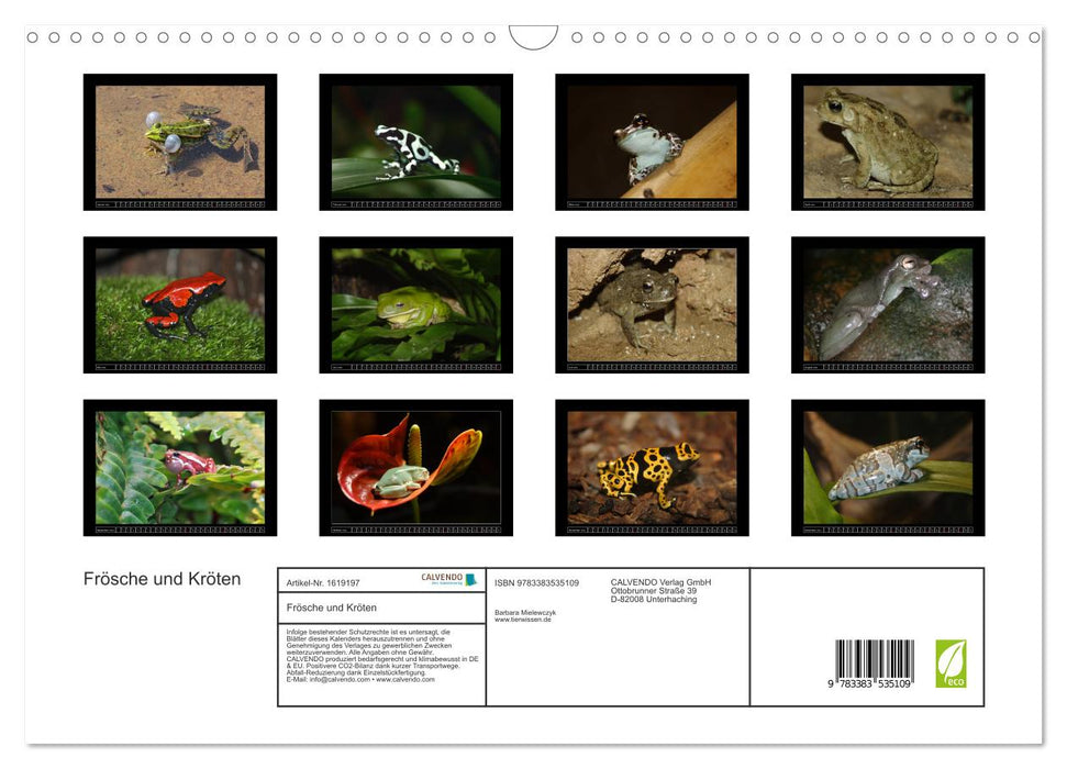 Frogs and toads (CALVENDO wall calendar 2024) 